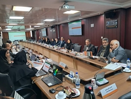 برگزاری نشست مشورتی تدوین برنامه ملی راهبردی ایمن‌سازی در ایران (فاز برآورد هزینه ایمن‏ سازی)