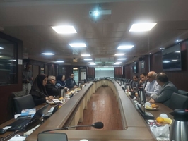  برگزاری هفتمین جلسه کمیته فنی حساب های ملی سلامت  