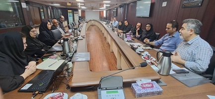 برگزاری نشست مشورتی تدوین برنامه ملی راهبردی ایمن‌سازی در ایران - مرحله بومی سازی و تدوین برنامه ‏های دانشگاه‏ها